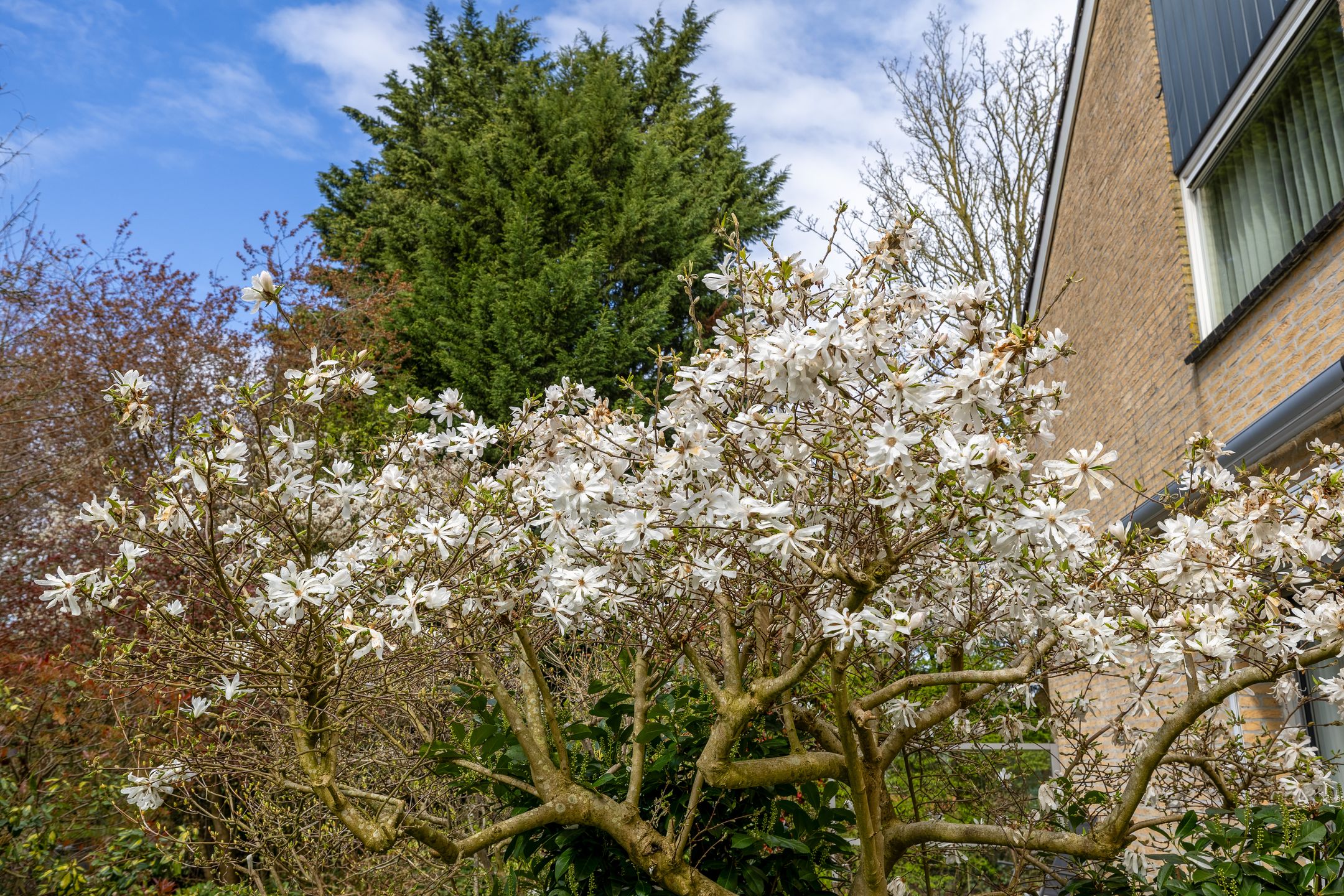 Foto 54 van Kerkdreef 28