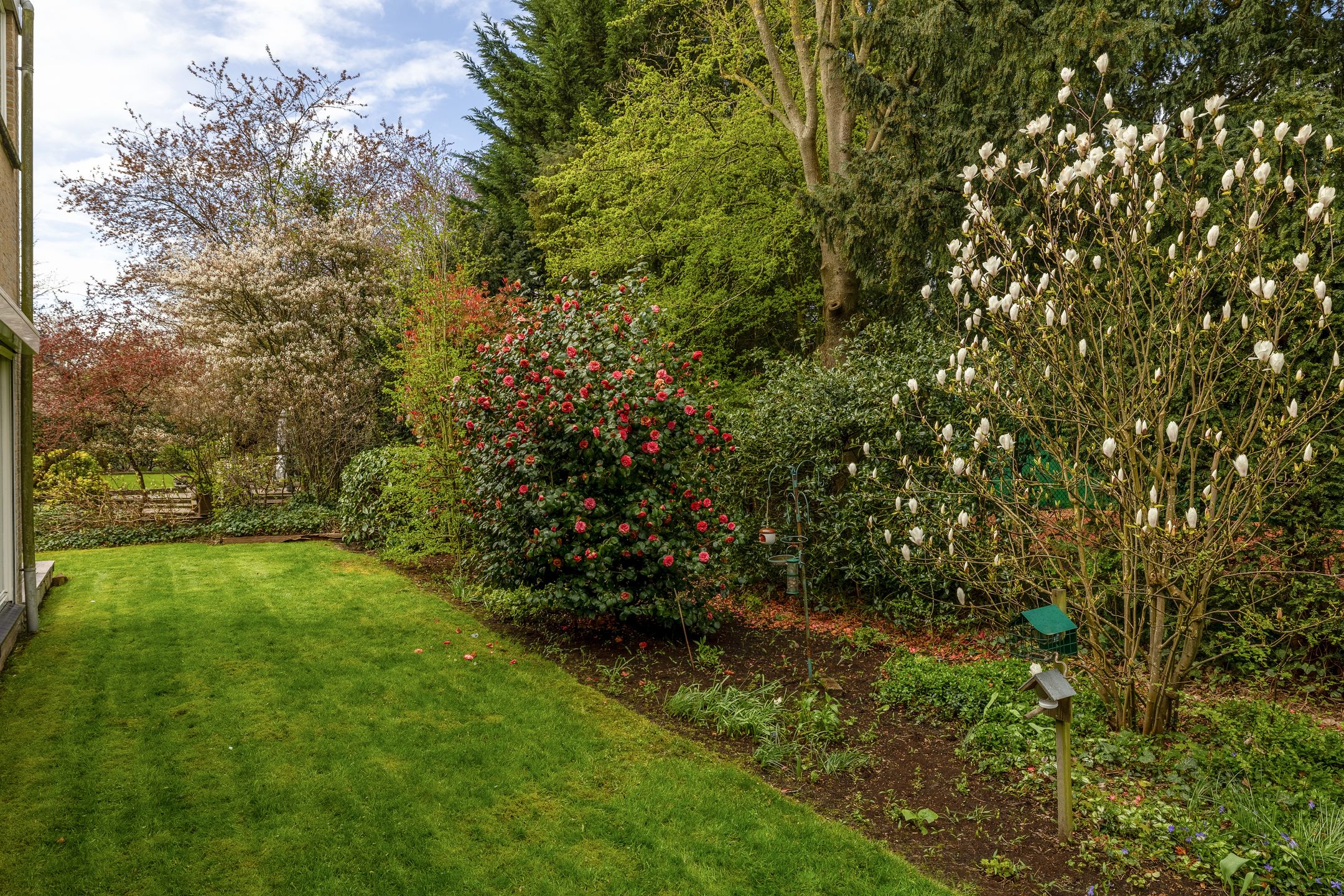 Foto 51 van Kerkdreef 28