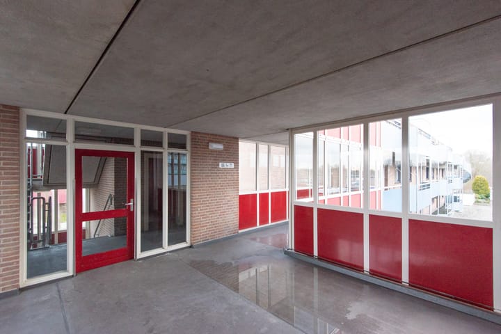 Photo 3 of Korenbloem 61