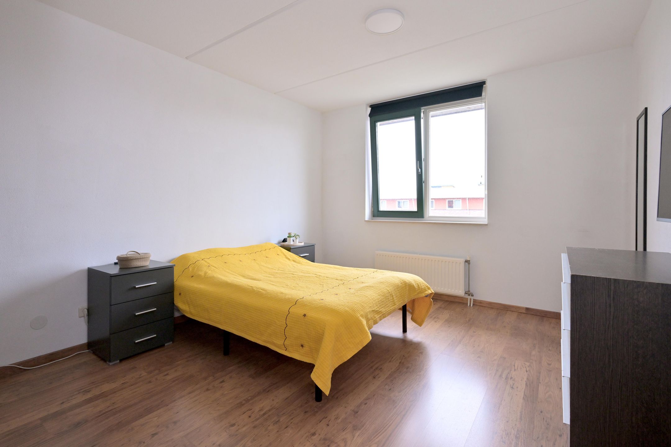 Foto 12 van Leonard Springerlaan 404