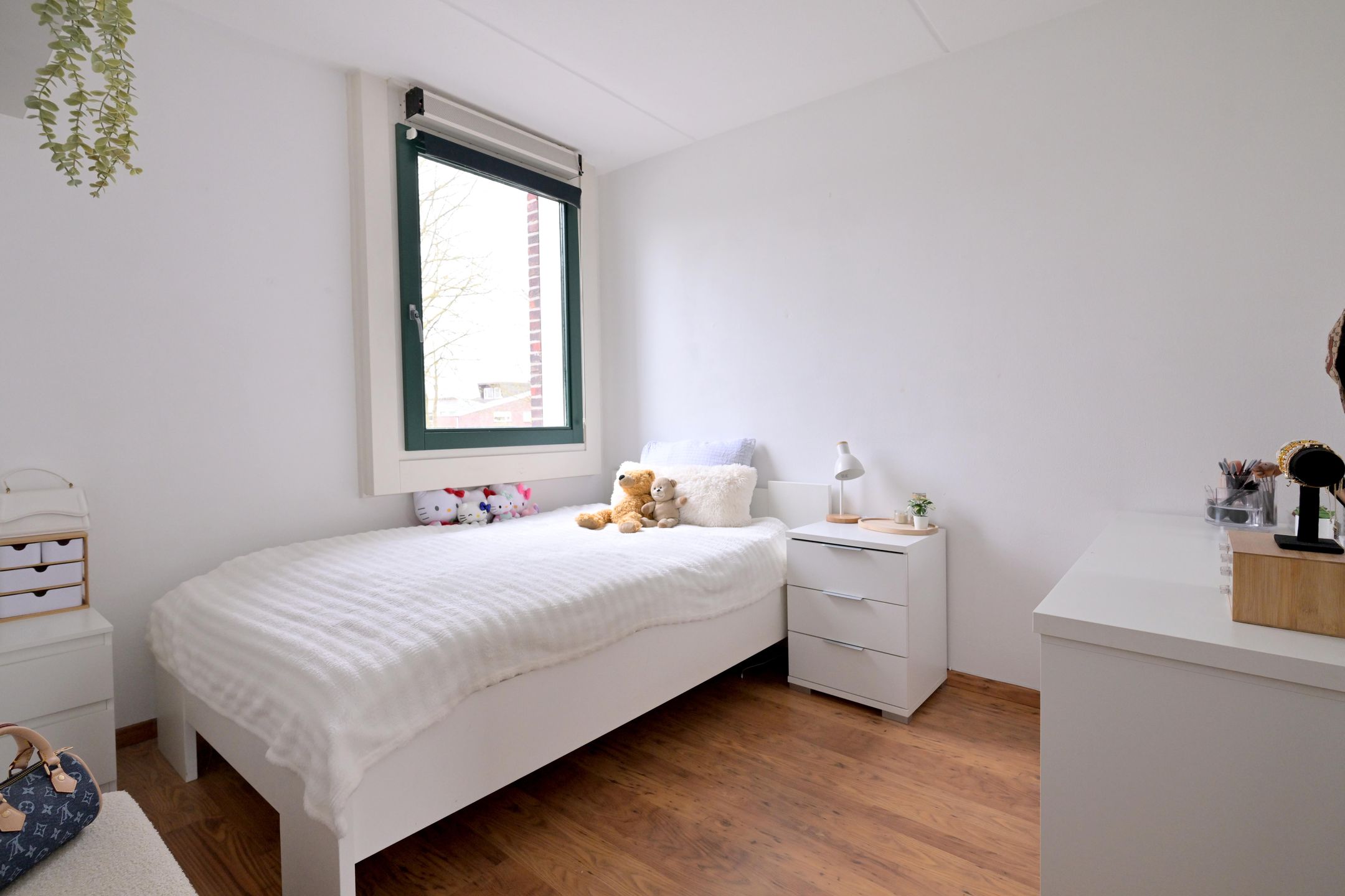 Foto 15 van Leonard Springerlaan 404