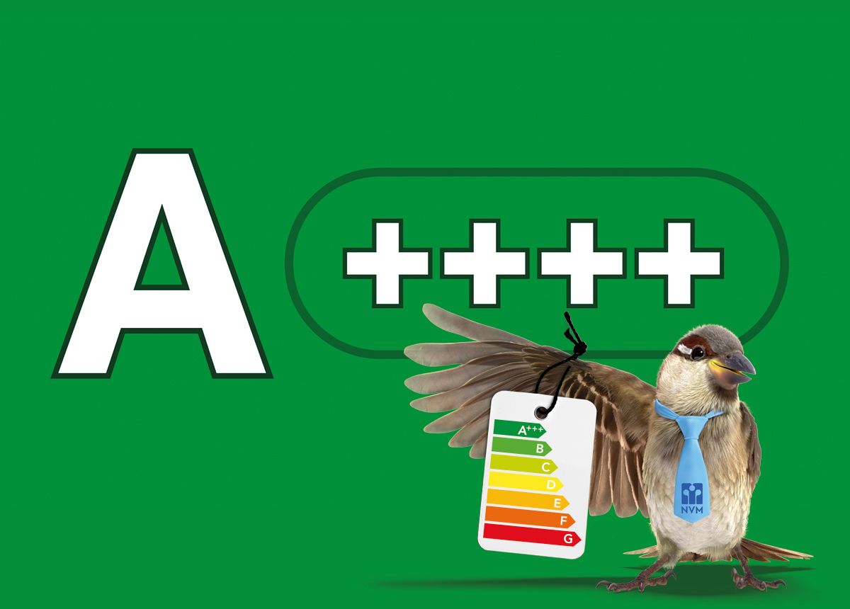 Foto 29 van Meerstal 3