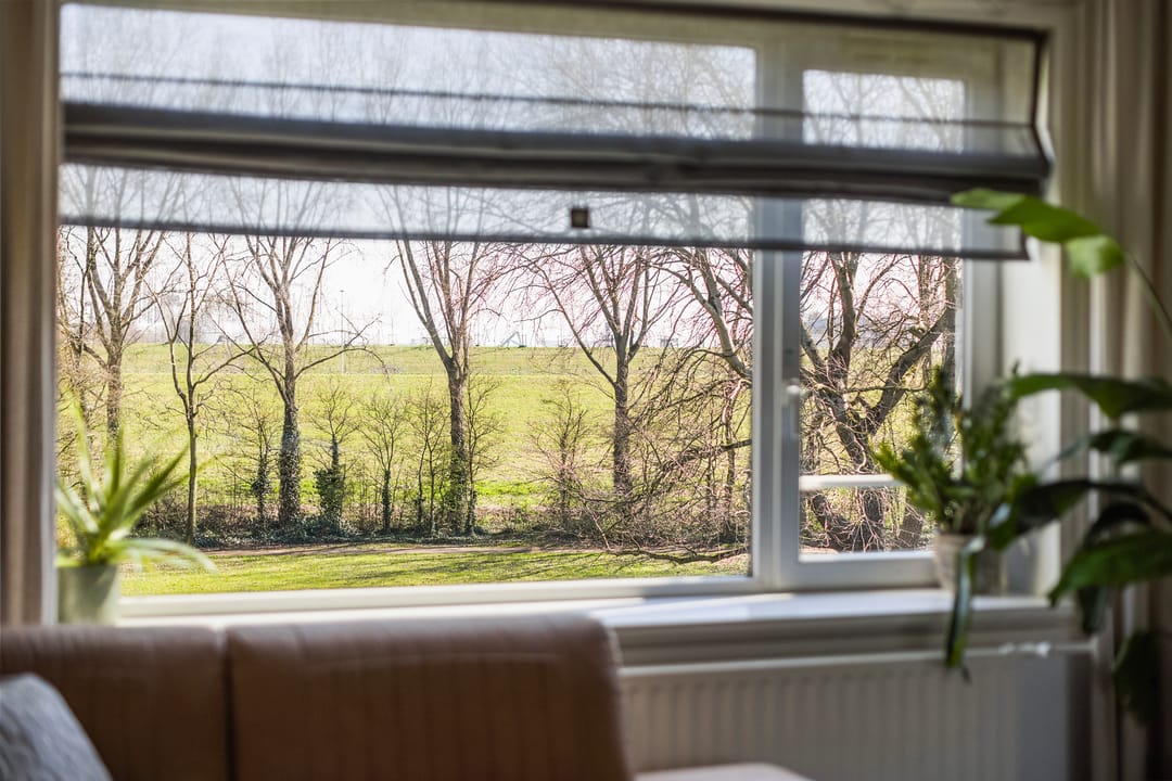 Foto 11 van Bosseplaat 101