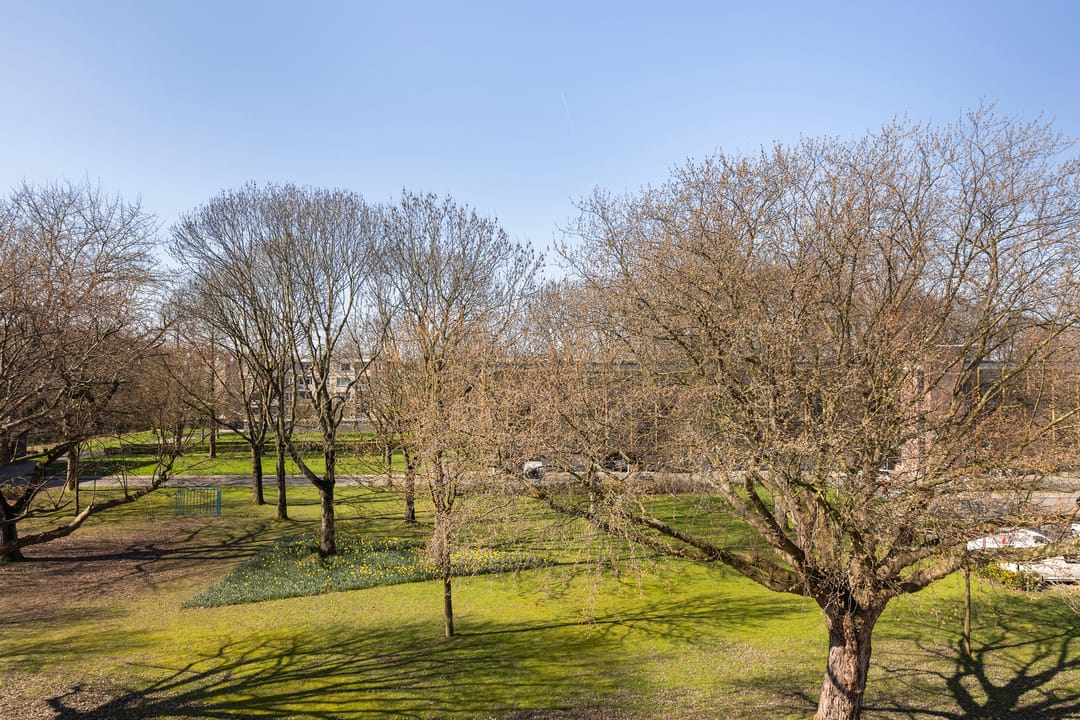 Foto 16 van Bosseplaat 101