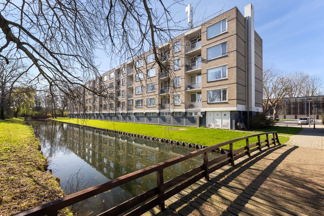 Foto 37 van Bosseplaat 101