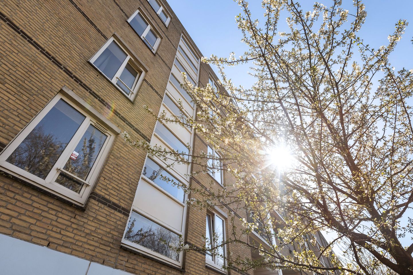 Foto 34 van Bosseplaat 101