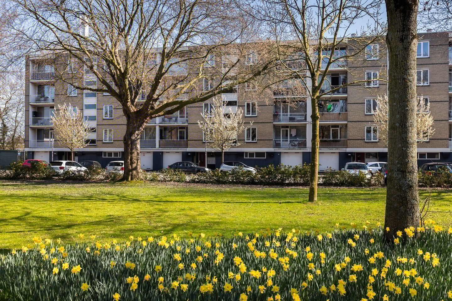 Foto 35 van Bosseplaat 101