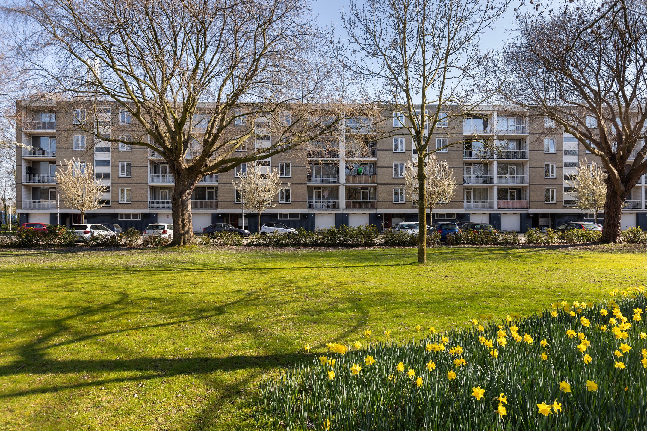 Foto 36 van Bosseplaat 101