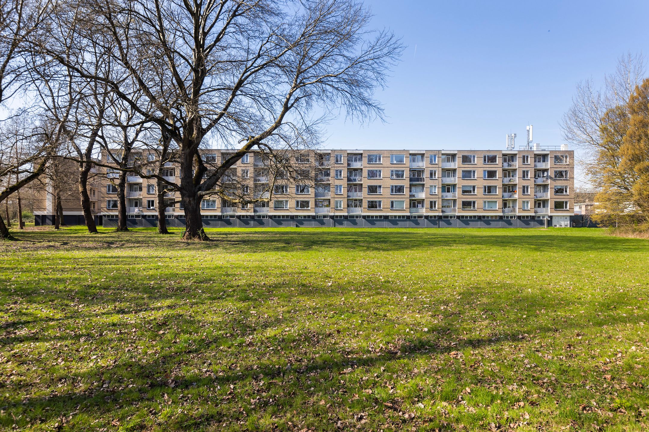 Foto 39 van Bosseplaat 101