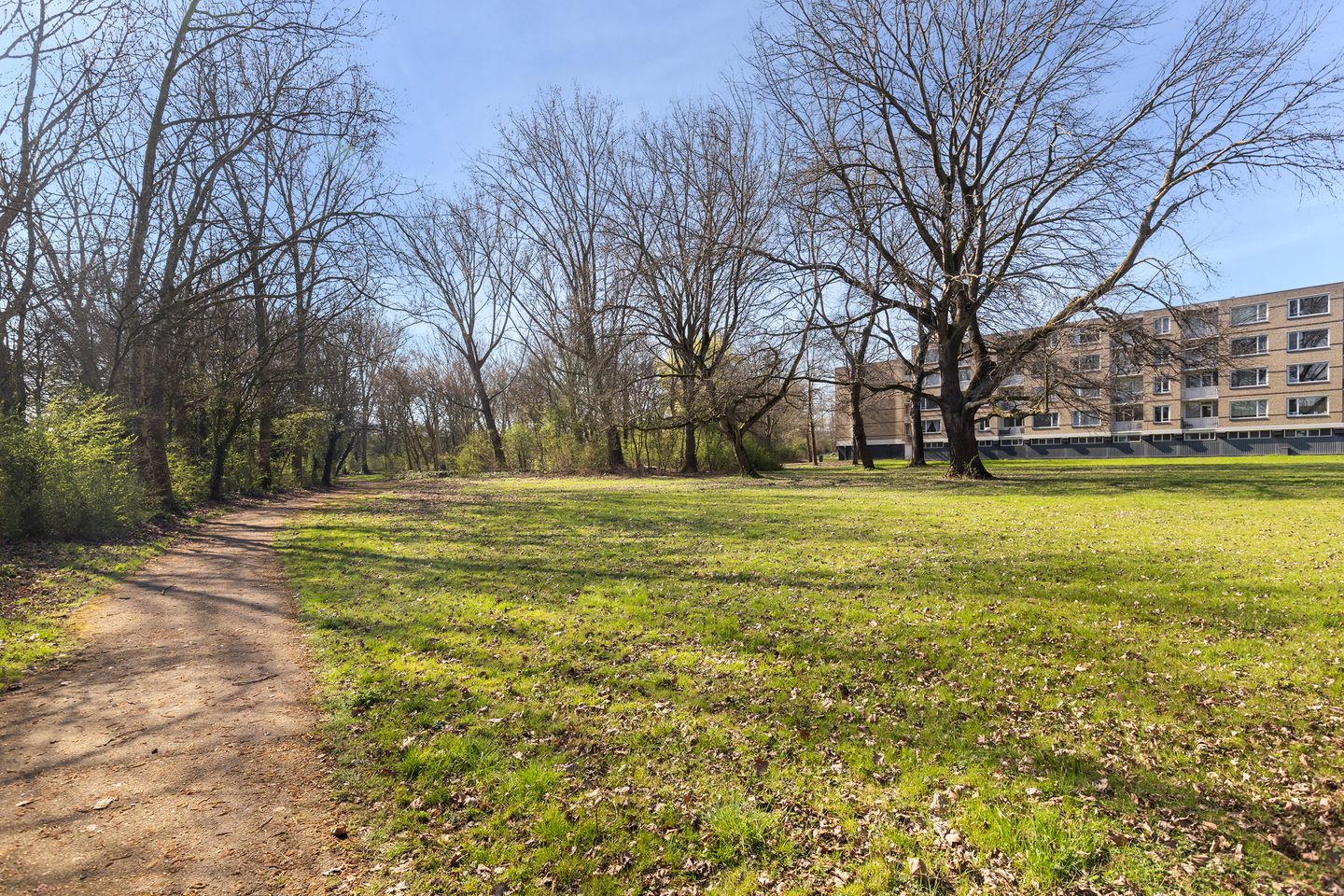 Foto 40 van Bosseplaat 101