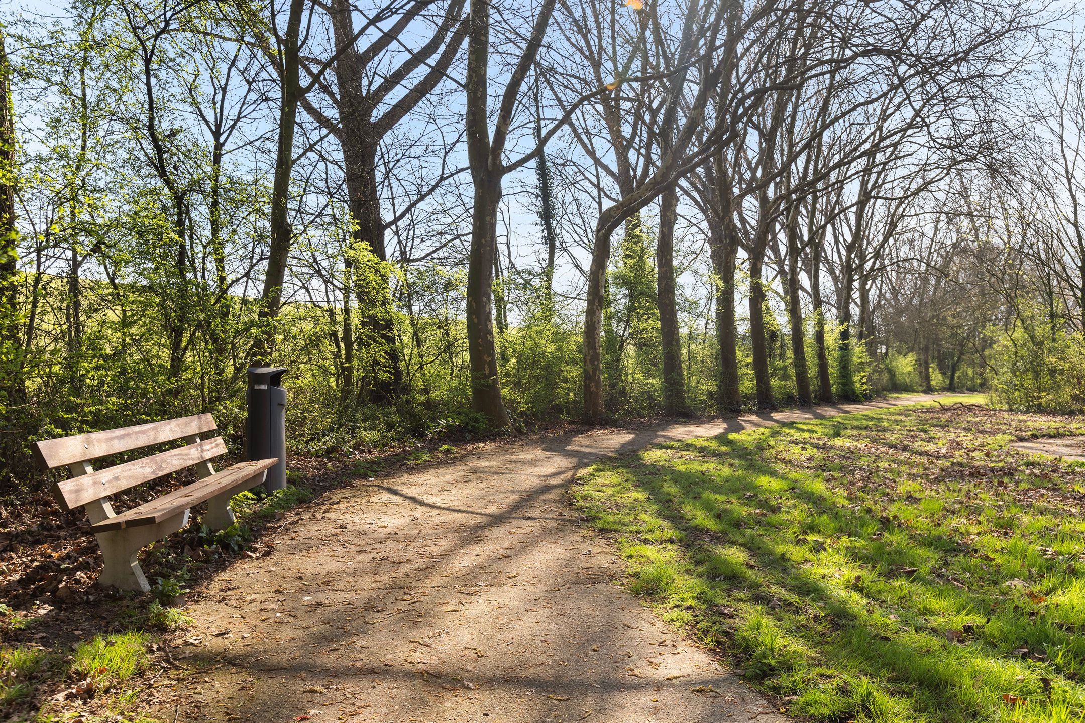 Foto 42 van Bosseplaat 101