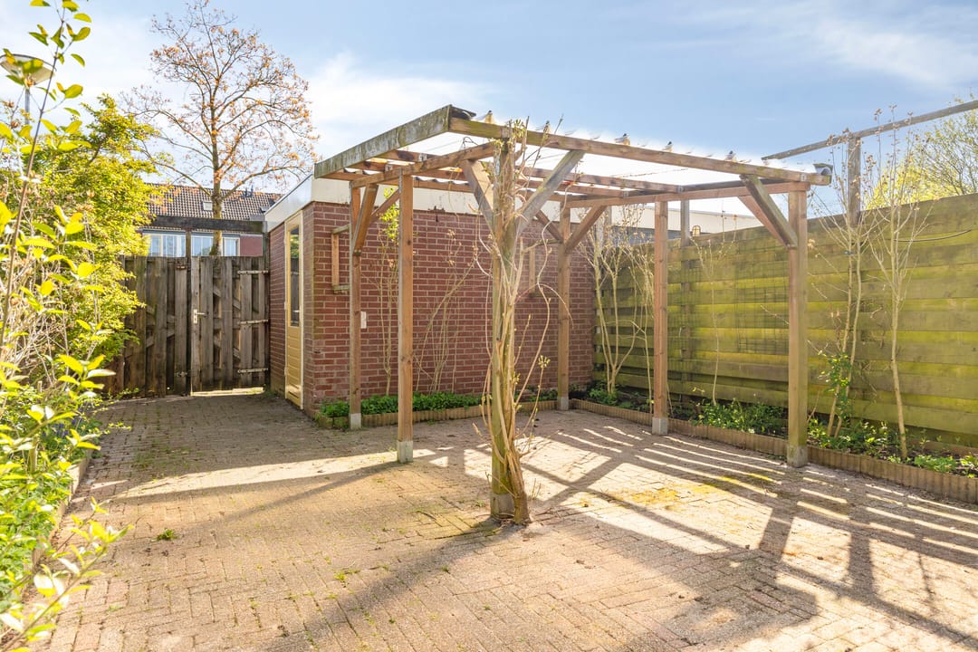 Photo 23 of Heilige Stoel 5905