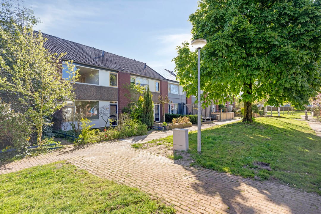 Photo 31 of Heilige Stoel 5905