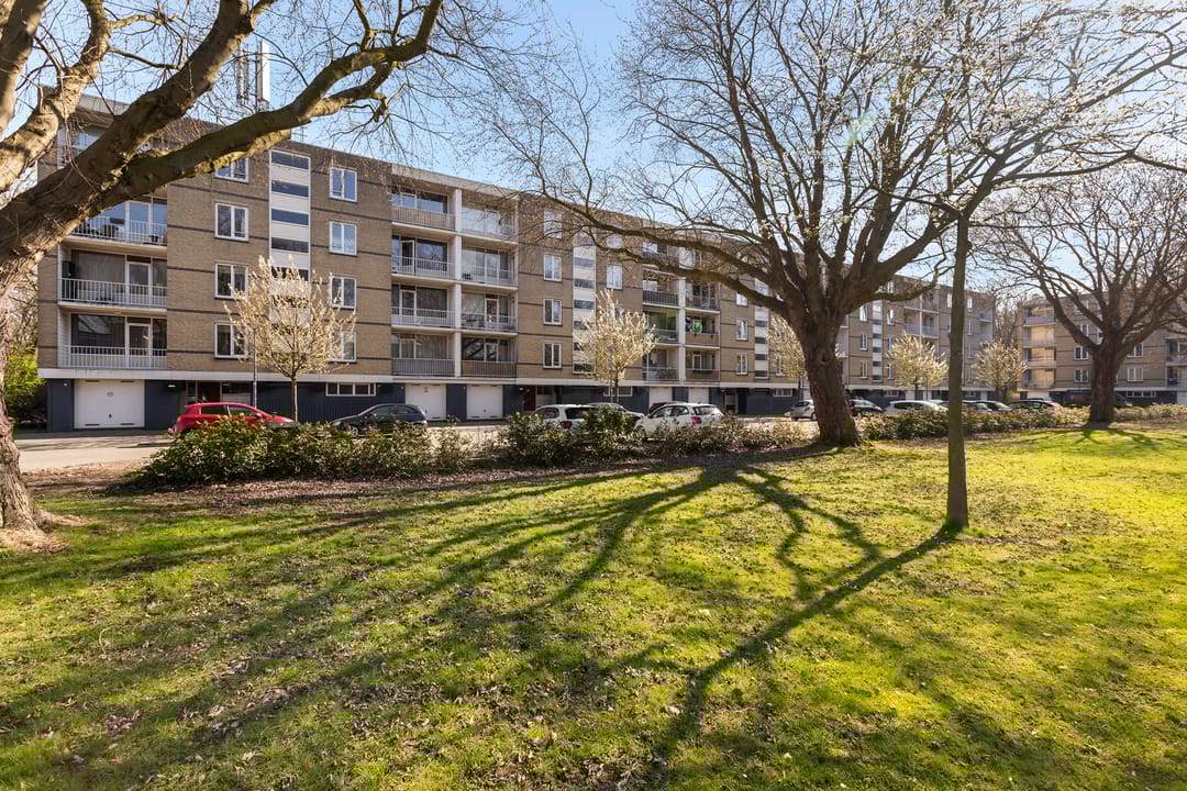 Foto 1 van Bosseplaat 101