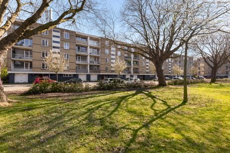 Bosseplaat thumbnail