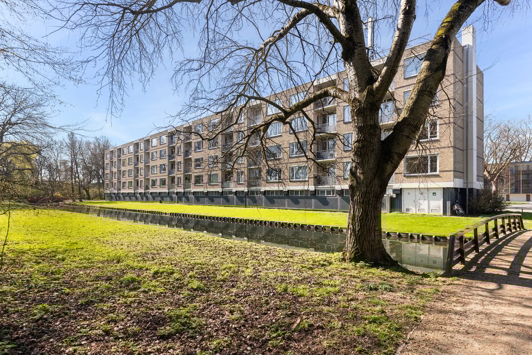 Foto 38 van Bosseplaat 101