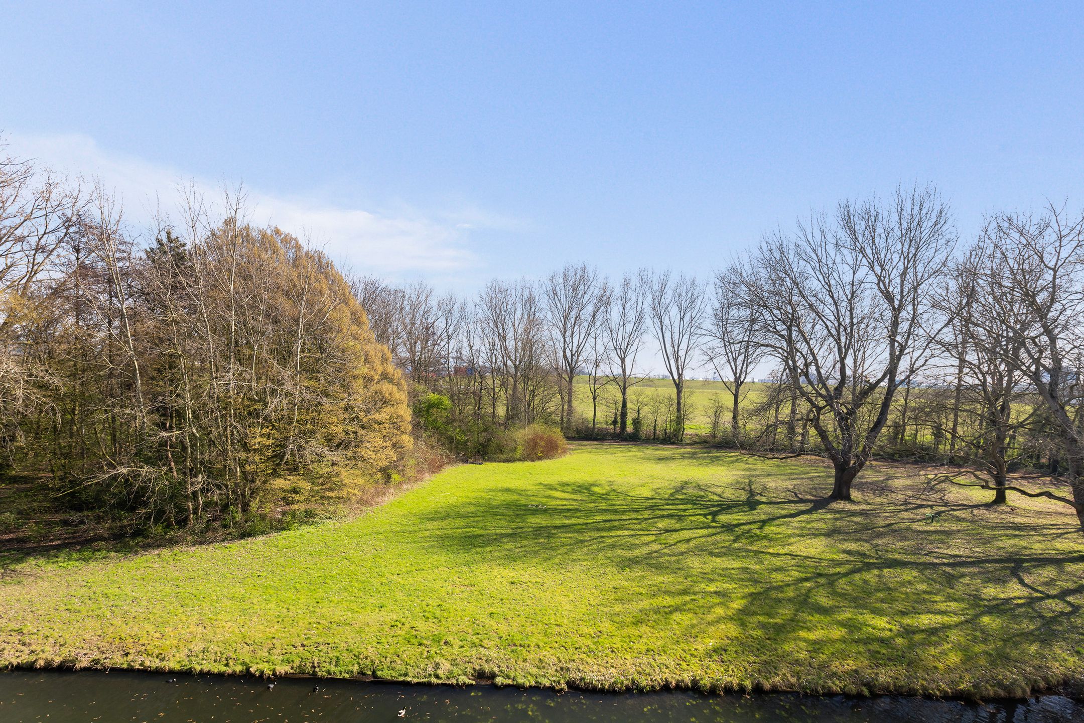 Foto 30 van Bosseplaat 101