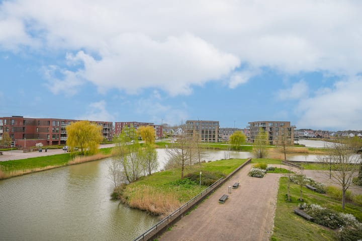 Foto 2 van Krooneend 50