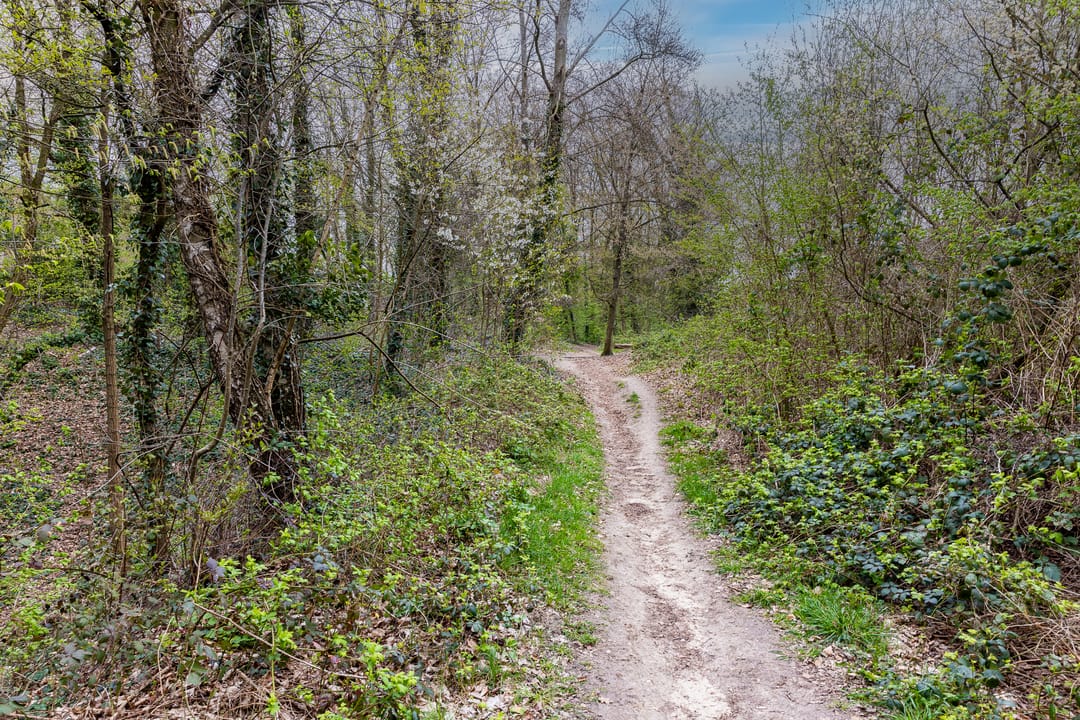 Foto 38 van Heideweg 14