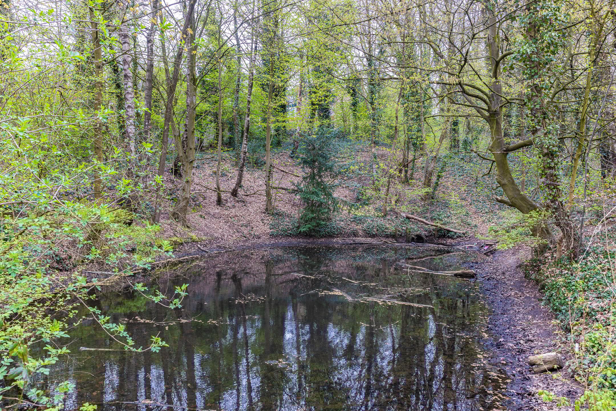 Foto 39 van Heideweg 14