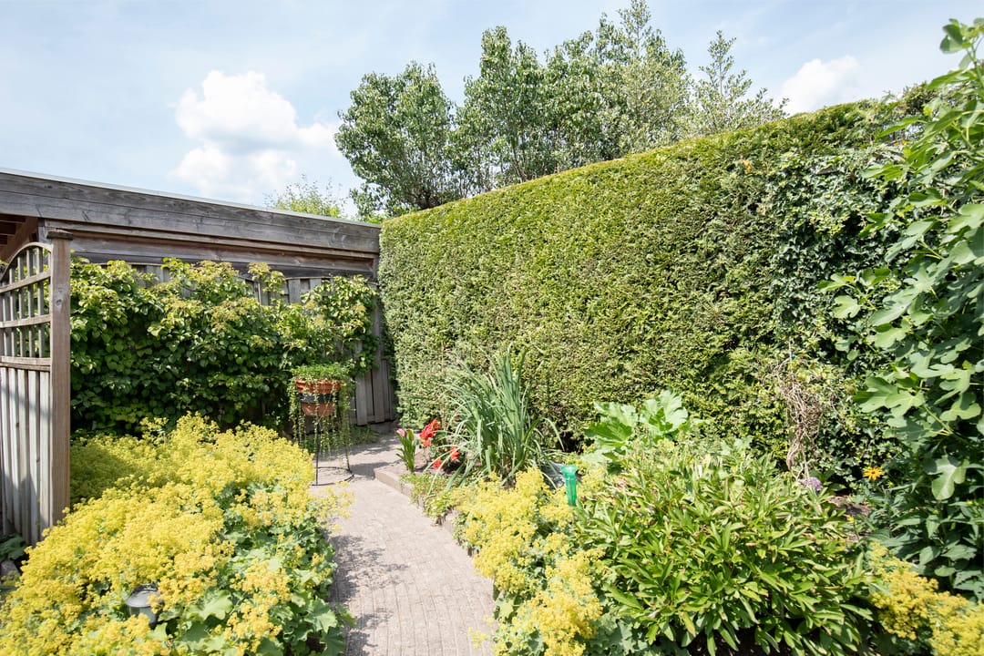 Foto 38 van Prins Constantijnstraat 7