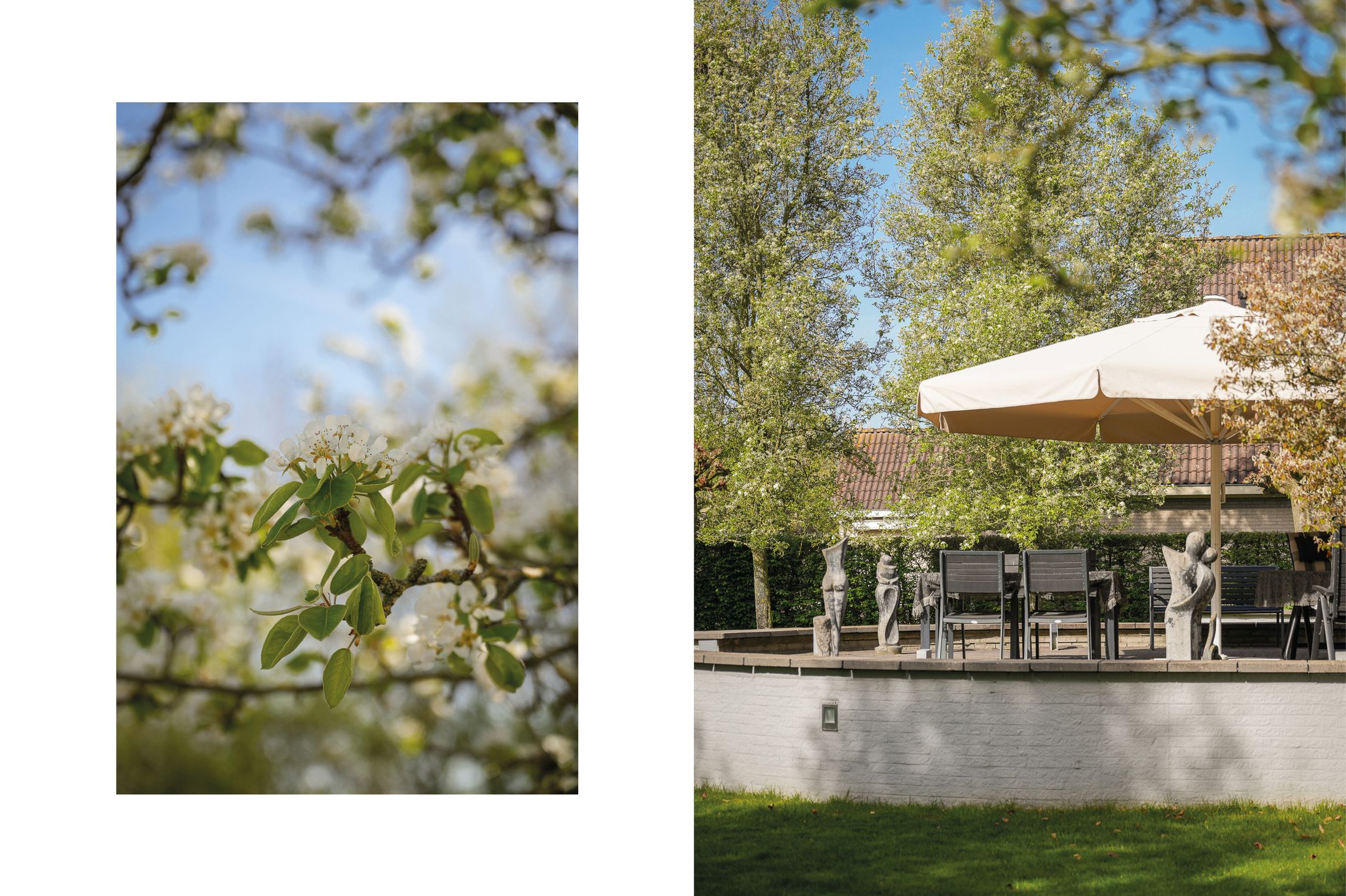 Photo 36 of Groot-Zuideveld 31