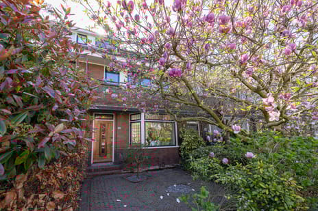 Meeuwenlaan thumbnail