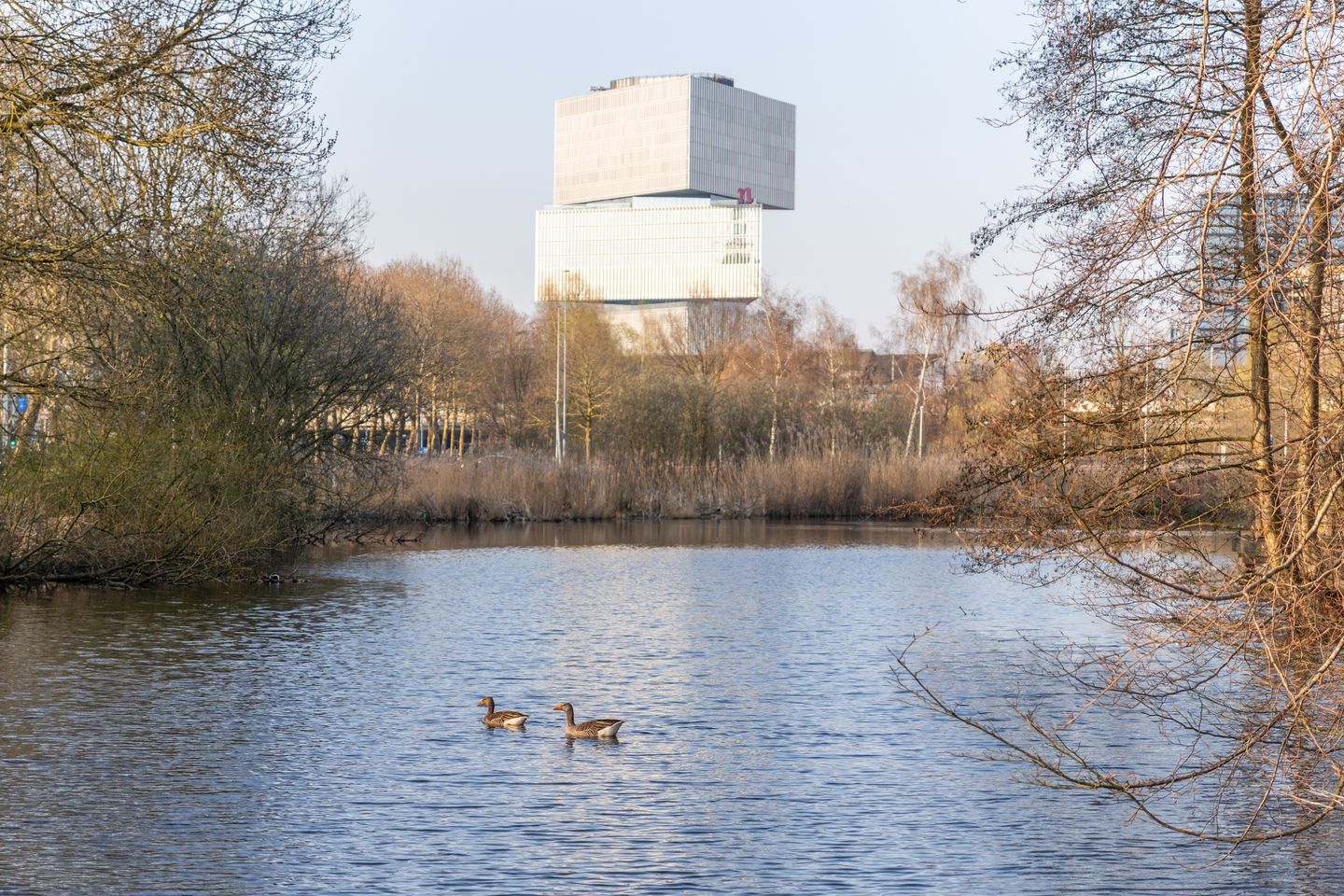 Photo 50 of Waalstraat 114