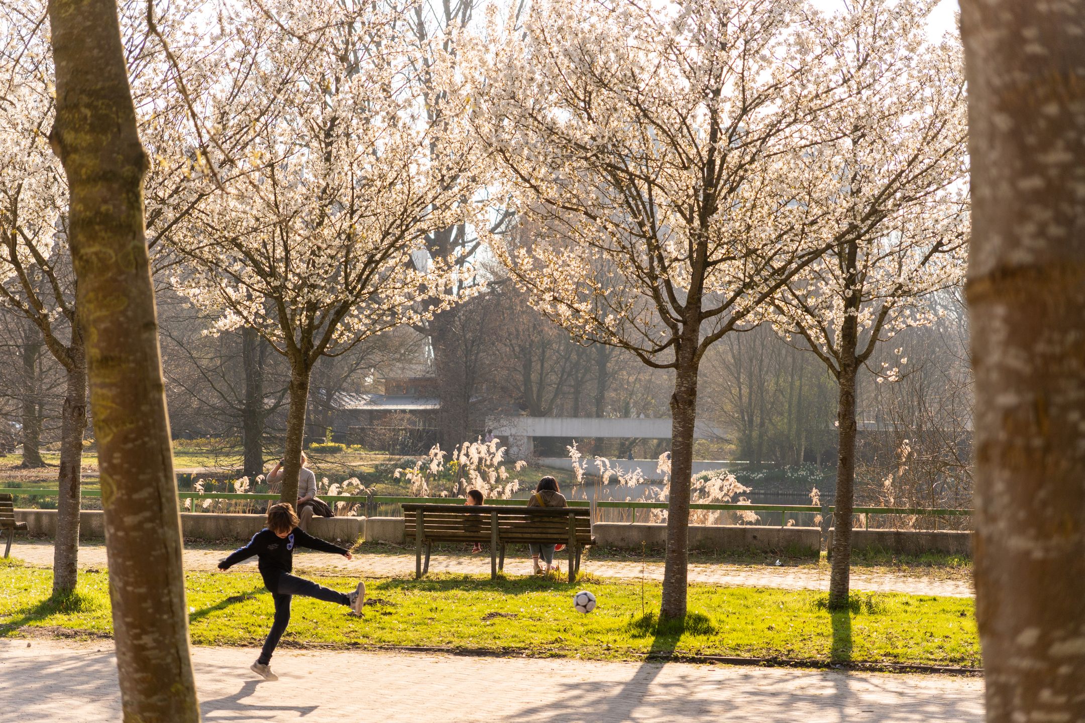 Photo 51 of Waalstraat 114