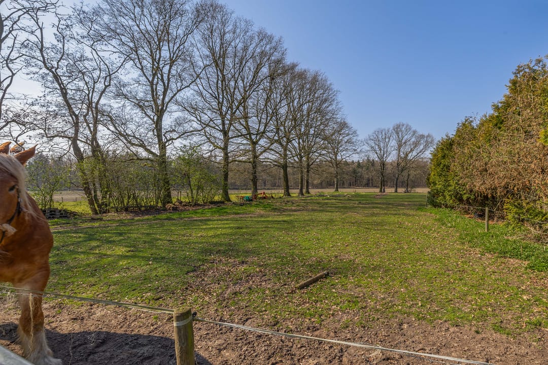 Foto 43 van Roestenberg 2-A