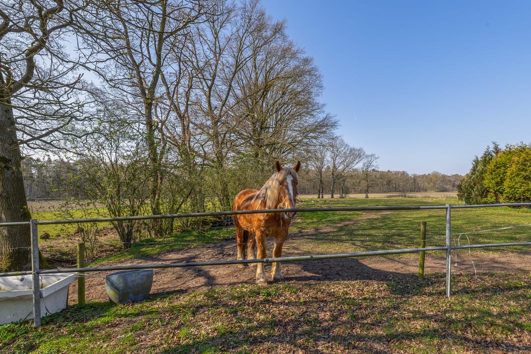 Foto 41 van Roestenberg 2-A