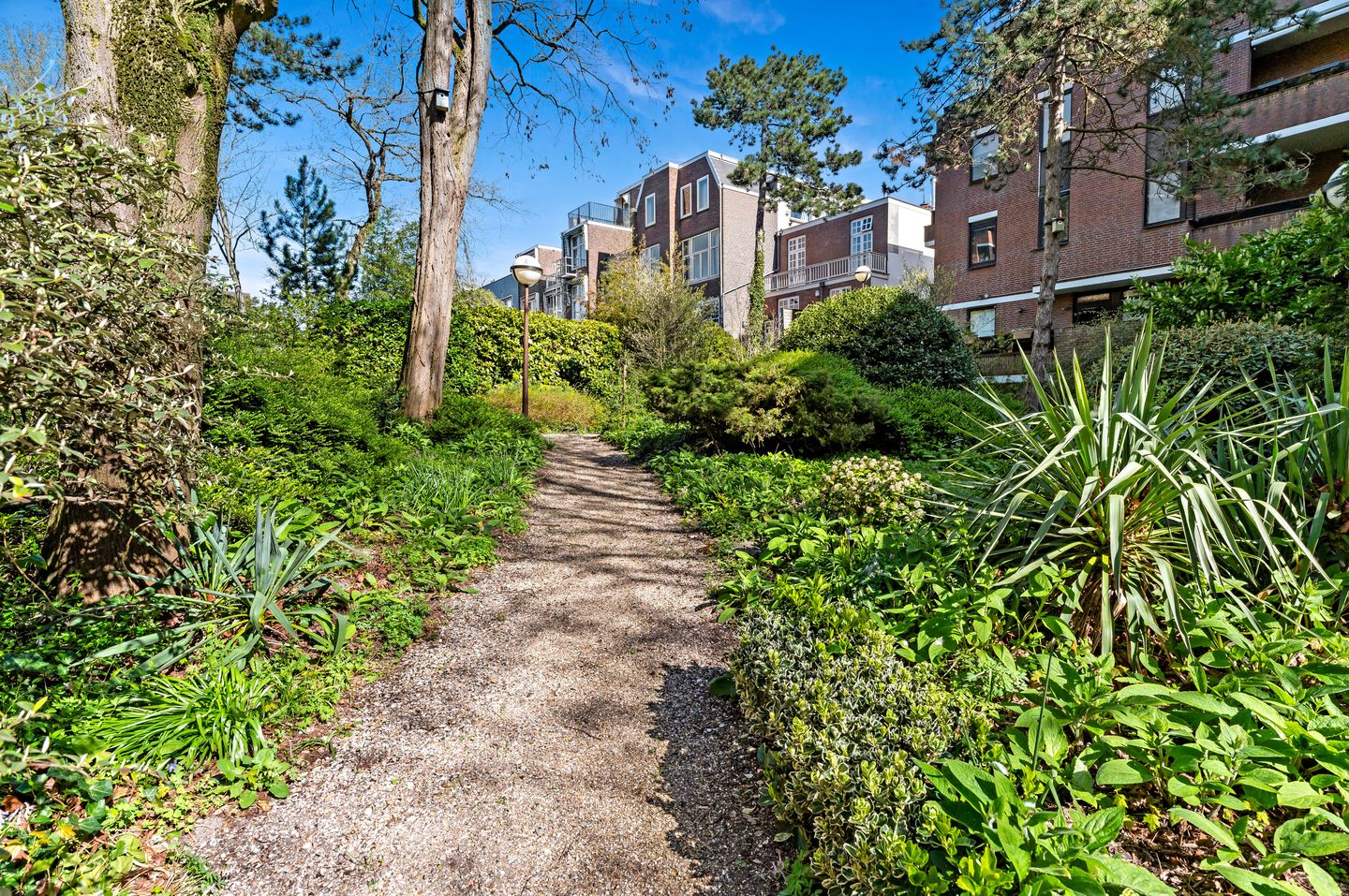 Photo 5 of Scheveningseweg 33