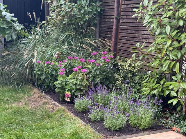 Foto 46 van Suze Groeneweglaan 2