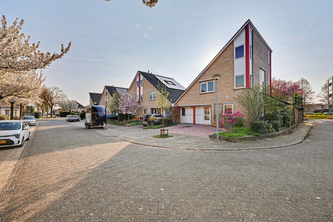 Foto 58 van Suze Groeneweglaan 2