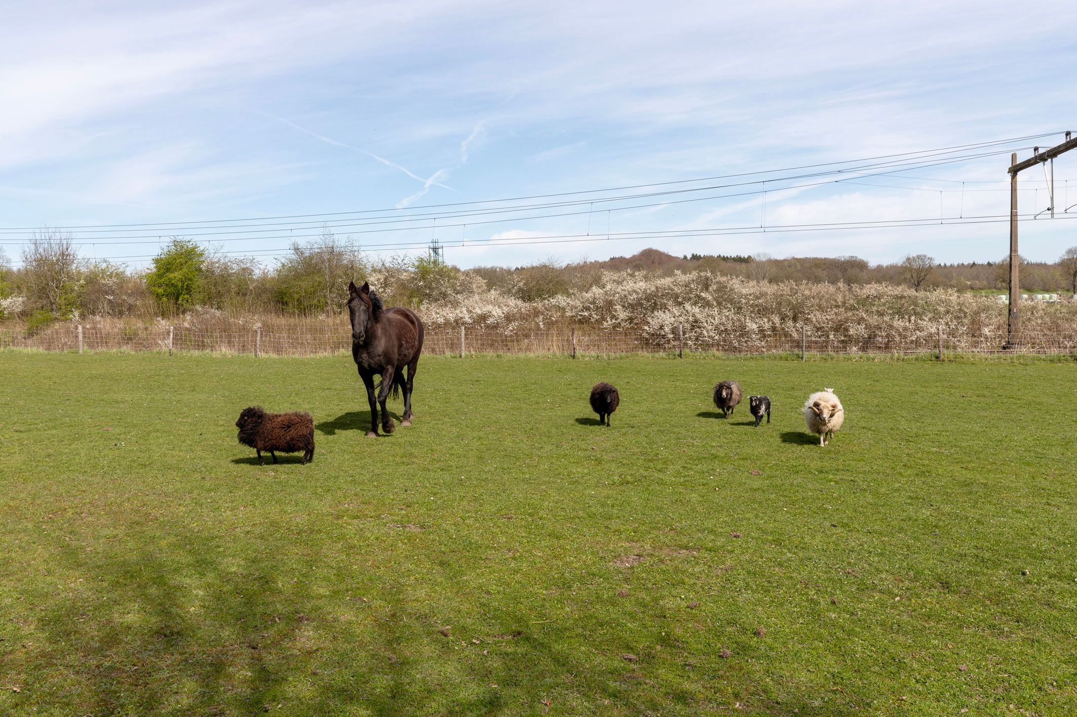 Foto 39 van De Heerlijkheid 46