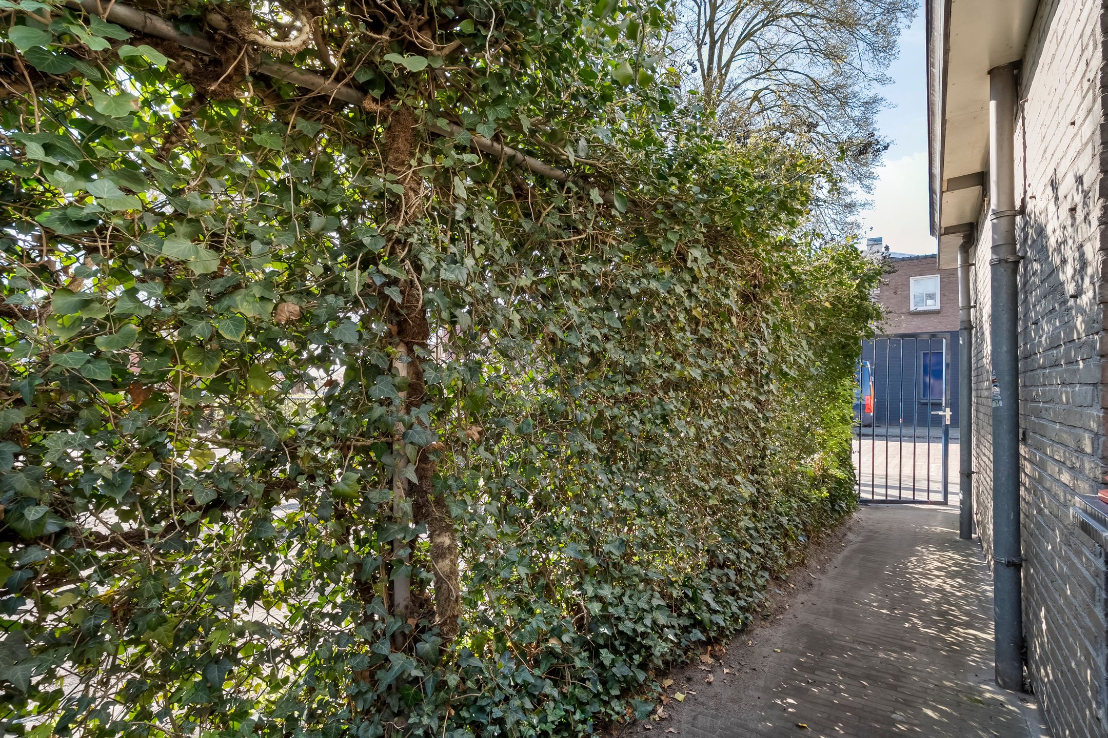 Foto 42 van Brederostraat 4