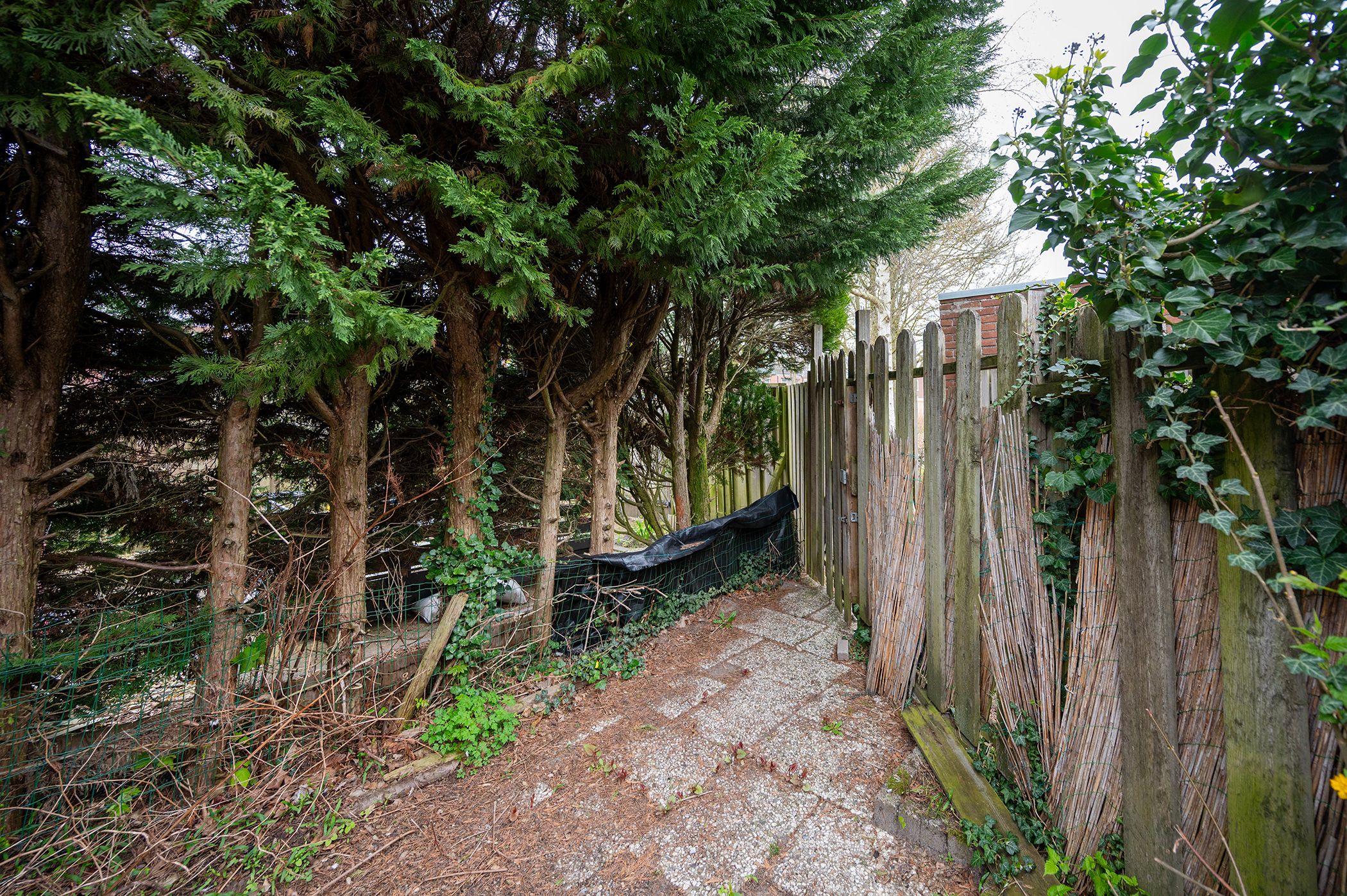 Photo 18 of Peppengouw 99