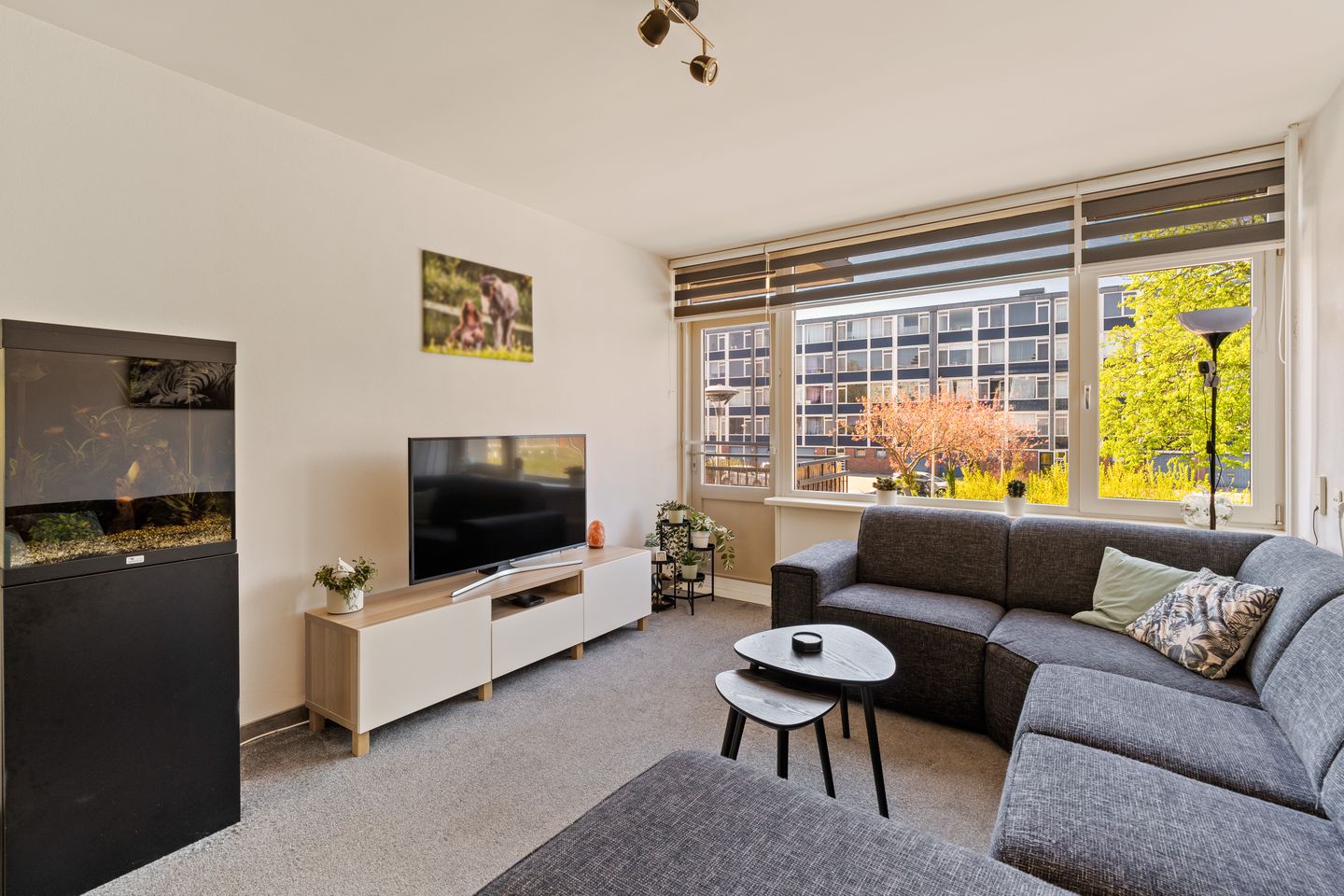Photo 10 of Albert Cuypstraat 76