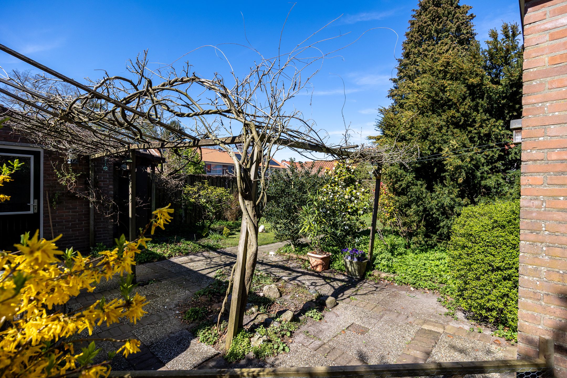 Foto 27 van Mecklenburglaan 15