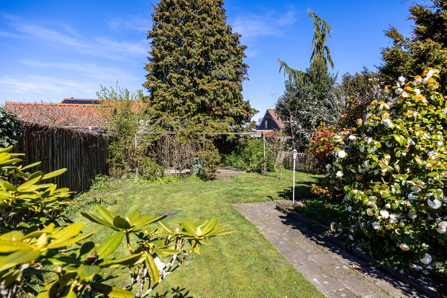 Foto 29 van Mecklenburglaan 15