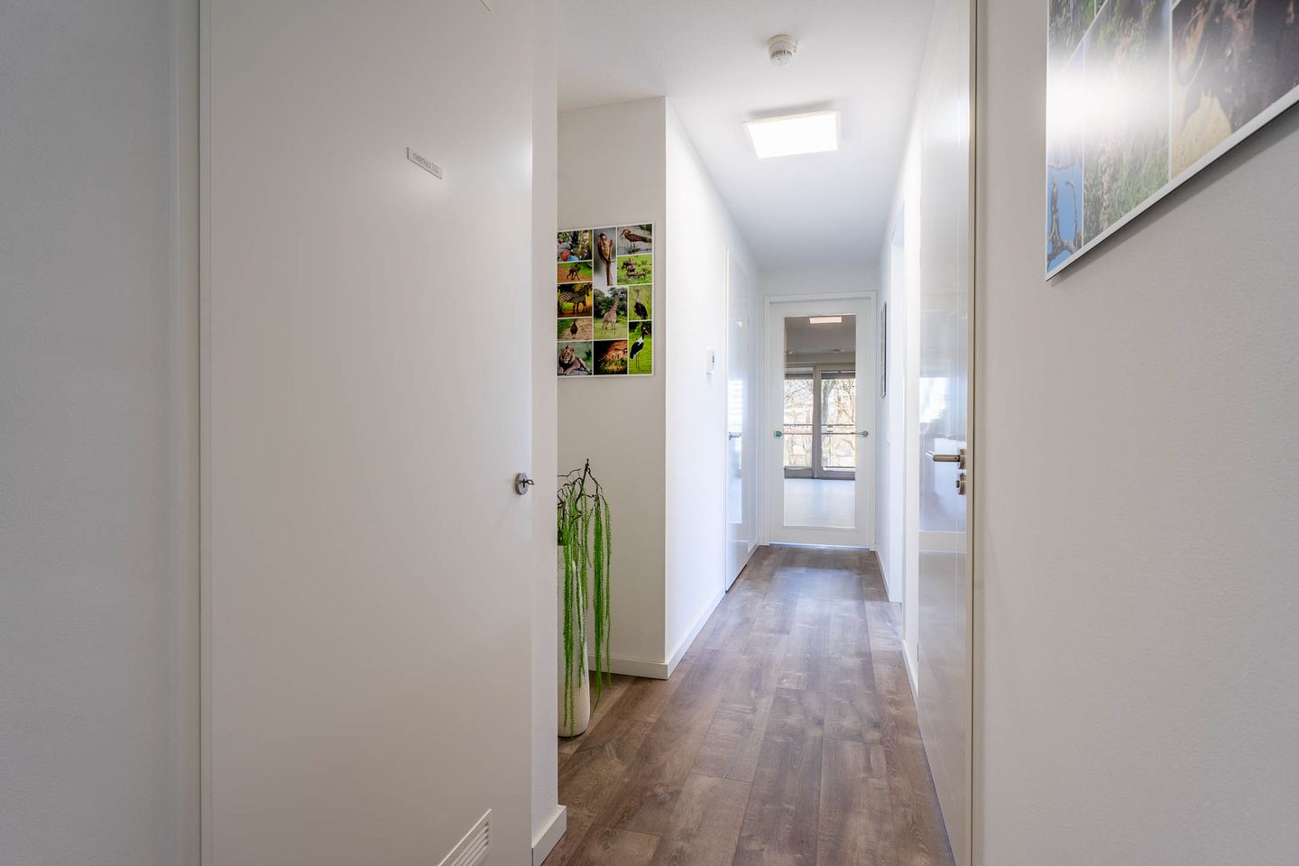 Foto 25 van Zorgvlietstraat 3-D1