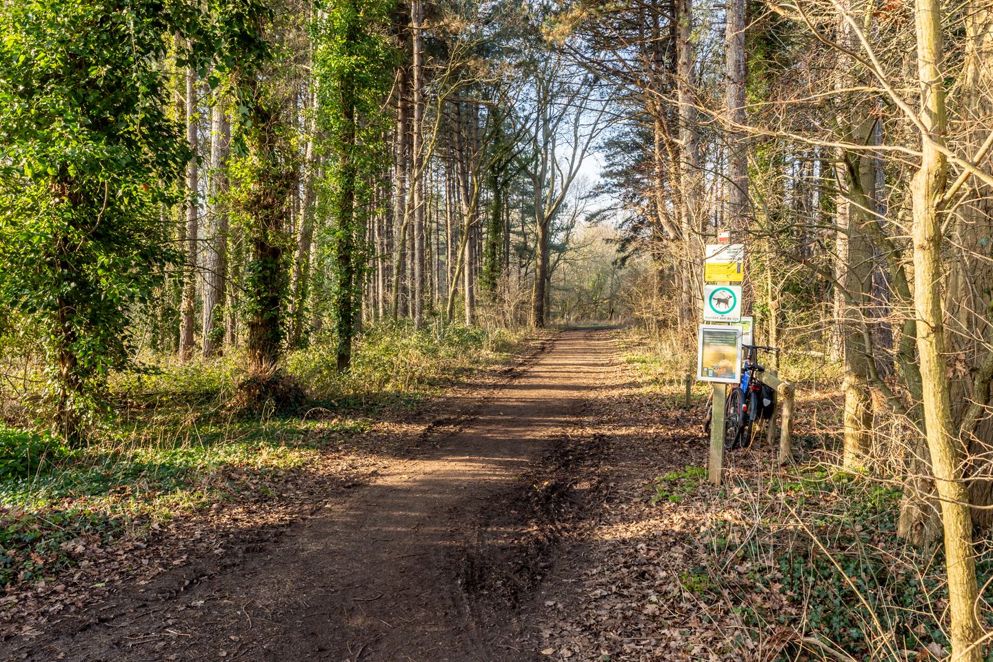 Photo 29 of Oostdijkseweg 83
