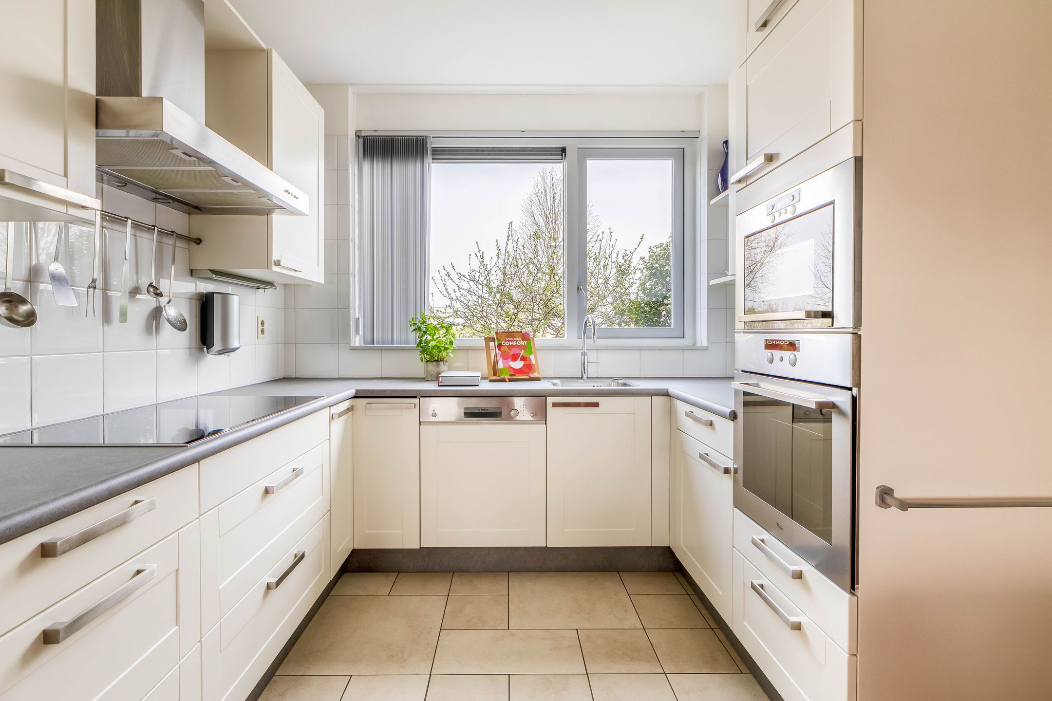 Foto 3 van Regenboog 288