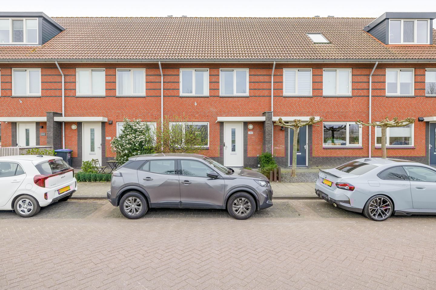 Foto 5 van Regenboog 288