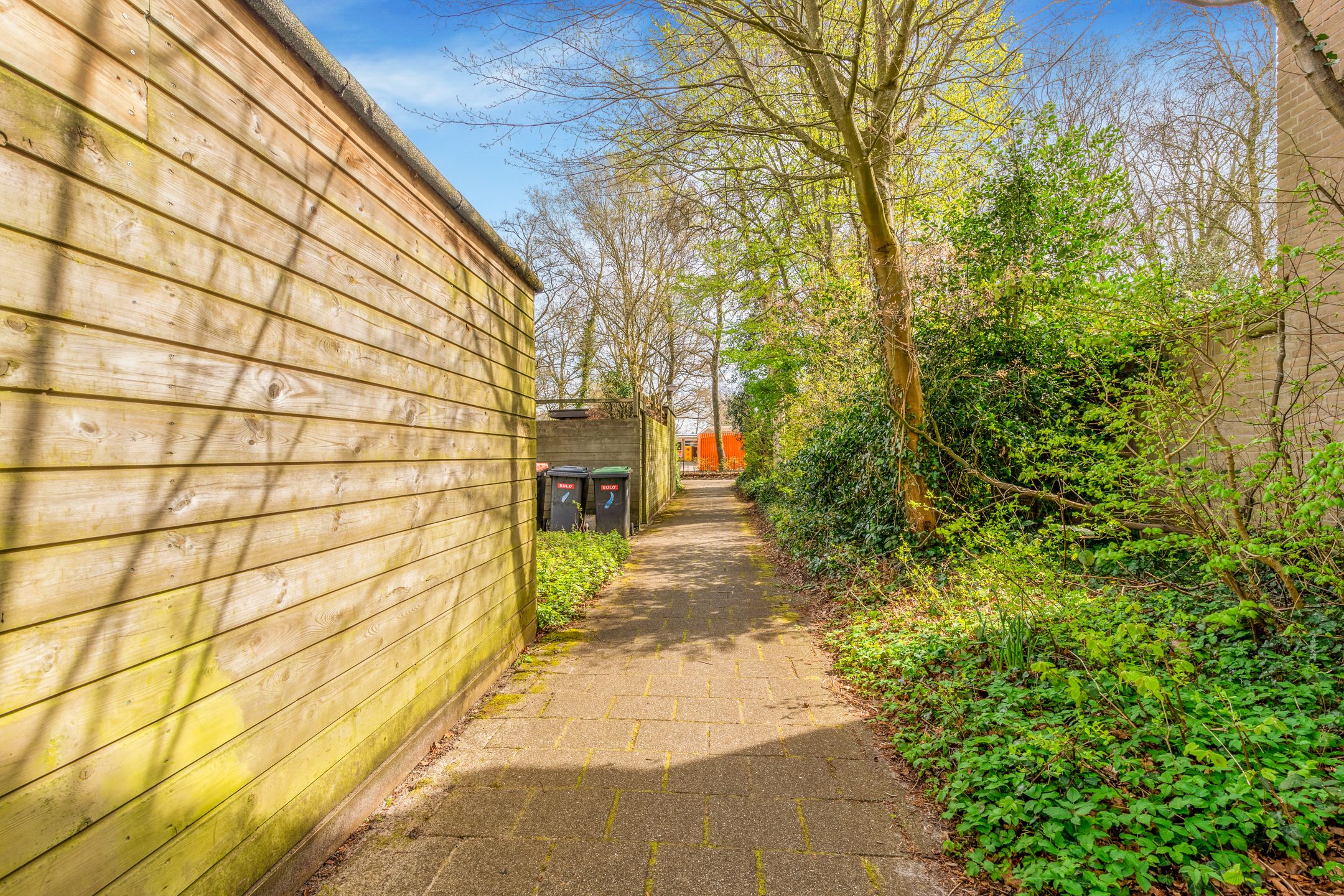 Foto 39 van Boekenstein 39