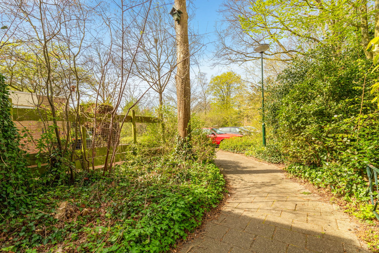 Foto 40 van Boekenstein 39