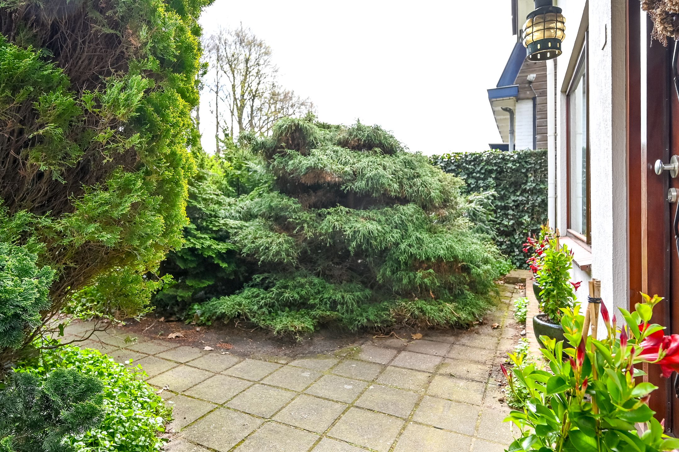 Photo 54 of Driehuizerkerkweg 170