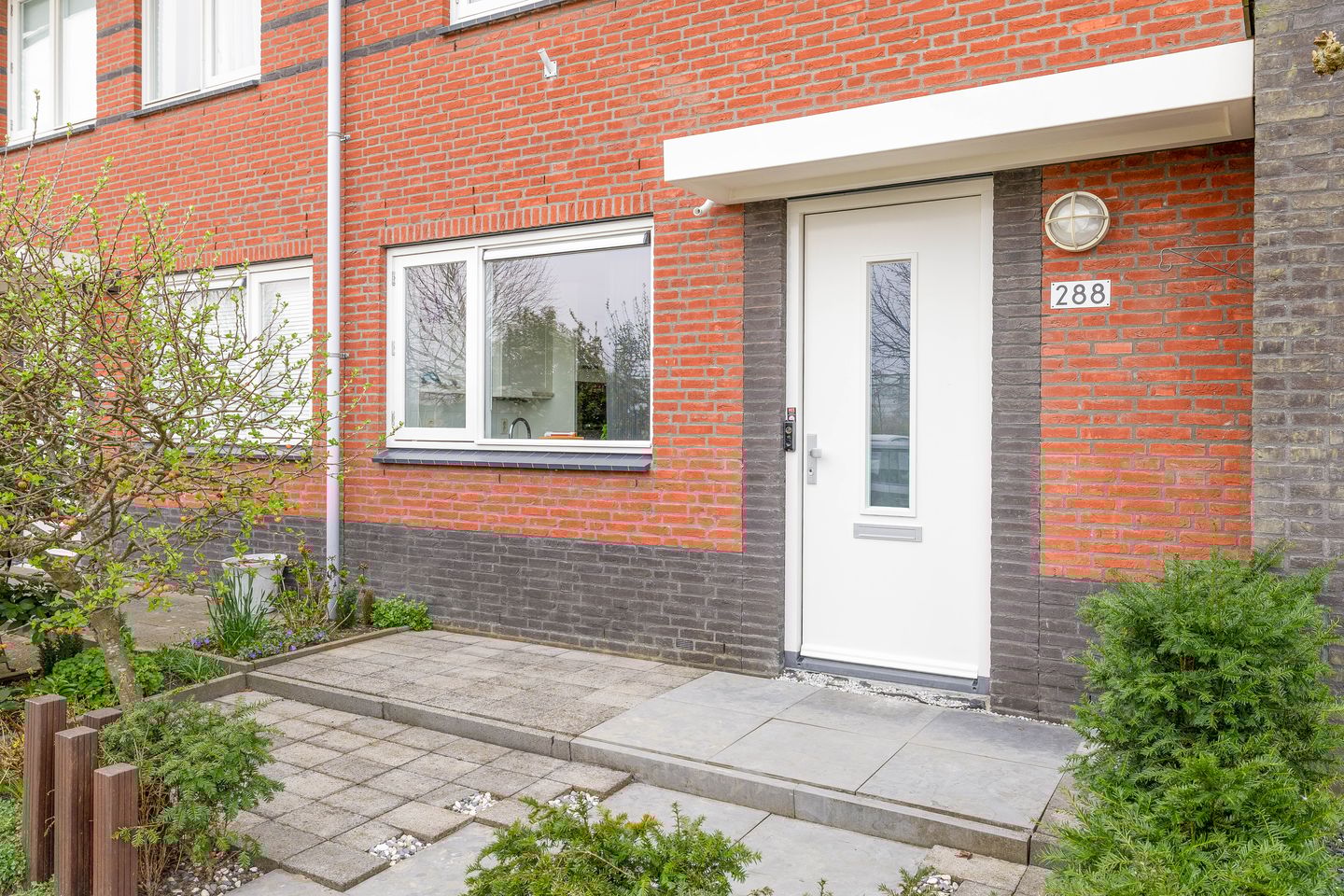 Foto 10 van Regenboog 288