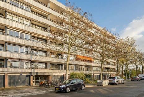 Hijmans van den Berghlaan thumbnail