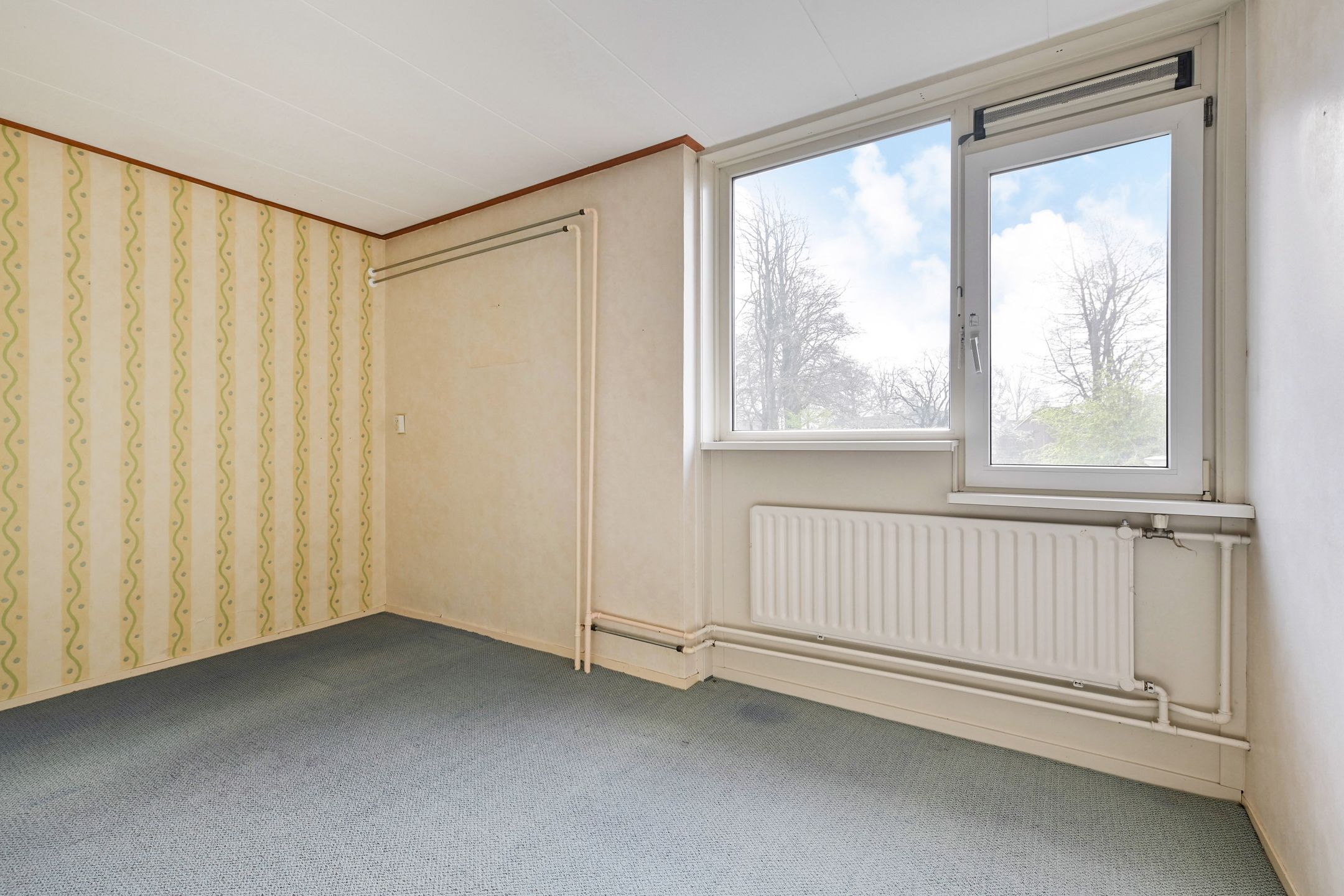 Foto 18 van Vlierpad 13